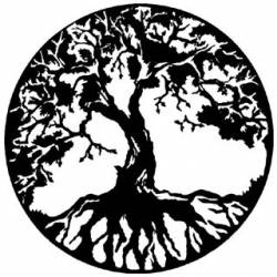 More Than the Eye Can See